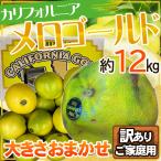 カリフォルニア産　メロゴールド　大きさおまかせ　約12kg　訳ありご家庭用