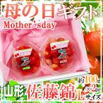 母の日 佐藤錦さくらんぼ 約100g2パック 造花カーネーション付き 5/7〜5/11お届け(日付指定不可)