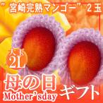 母の日 宮崎完熟マンゴー2玉 2L 造花カーネーション付き
