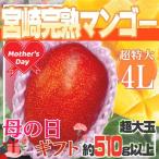 宮崎県産　完熟マンゴー　1玉　4L　約510ｇ以上　クール便発送　造花カーネーション付き　母の日ギフト
