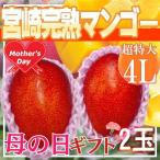 宮崎県産　完熟マンゴー　2玉　4L　1玉約510ｇ以上　クール便発送　造花カーネーション付き　母の日ギフト