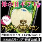 母の日　静岡県産　クラウンメロン　山等級　1玉約1.5kg以上　造花カーネーション付き　母の日ギフト