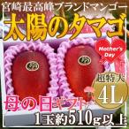 母の日 宮崎県産 太陽のタマゴ2玉 4L 造花カーネーション付き 母の日ギフト 5/7〜5/11お届け(日付指定不可)