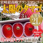 母の日　宮崎県産　太陽のタマゴ3玉　2L　造花カーネーション付き　母の日ギフト