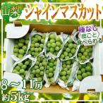  Yamanashi префектура производство автомобиль in мускат 8-11. примерно 5kg * прохладный рейс отправка 