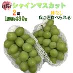  Yamanashi префектура производство автомобиль in мускат 2.1. примерно 480g прохладный рейс отправка 