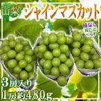  Yamanashi префектура производство автомобиль in мускат 3.1. примерно 480g прохладный рейс отправка 