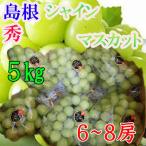  Shimane производство автомобиль in мускат 6~8. примерно 5kg превосходящий товар прохладный рейс отправка 