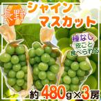  Nagano префектура производство автомобиль in мускат примерно 480g×3.* прохладный рейс отправка 