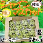  Okayama префектура производство автомобиль in мускат ..8~9. примерно 5kg super товар прохладный рейс отправка 