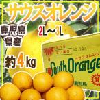 鹿児島県産　サウスオレンジ　2L〜3L　約4kg