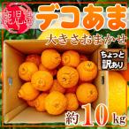 鹿児島県産 デコあま おおきさおまかせ 約10kg ちょっと訳あり