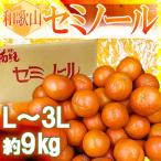 和歌山県産　セミノール　L〜3L　約9kg