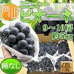  Okayama префектура производство новый pio-ne9~10. super товар примерно 5kg прохладный рейс отправка 