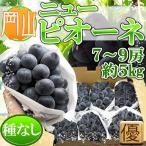  Okayama префектура производство новый pio-ne7~9. super товар примерно 5kg прохладный рейс отправка 