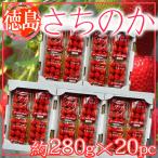 徳島県産　さちのか　1パック約280ｇ×20パック　クール便発送