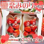  производство земля тщательно отобранный .. клей 2 упаковка 1 упаковка примерно 270g прохладный рейс отправка 