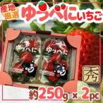  производство земля тщательно отобранный ....250g×2 упаковка превосходящий товар 