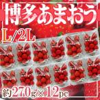 Fukuoka префектура производство Hakata ....L~2L 1 упаковка примерно 270g 12 упаковка 