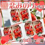  производство земля тщательно отобранный .. клей 6 упаковка 1 упаковка примерно 270g прохладный рейс отправка 