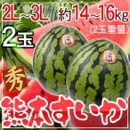  Kumamoto префектура производство Kumamoto ...2 шар 2L-3L итого примерно 14~16kg превосходящий товар 