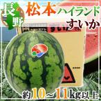  Nagano префектура производство Matsumoto Highland ...1 шар 5L примерно 10~11kg