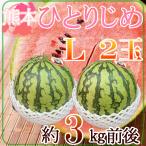 熊本県産　小玉スイカ　ひとりじめ　Lサイズ　2玉　約3キロ前後
