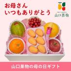 茂木びわ