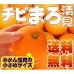 1kg増量で合計5kgチビまろ清見タンゴール4kg【送料無料】訳あり