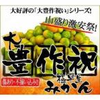 極早生大豊作みかん10kg【送料無料】訳あり 2セット御購入でお得な500円OFFクーポン! 愛媛県産 フルーツ 果物 旬 くだもの 食品 柑橘類 ミカン