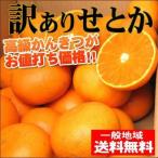 訳ありせとか5kg（訳あり・不揃い）産地直送！送料無料 愛媛県産 フルーツ 果物 くだもの おやつ みかん 柑橘類 ミカン 産地直送