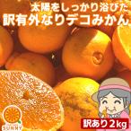 愛媛産 ご家庭用 農家さんもぐもぐ 外なり訳ありデコみかん 2kg(+約0.2kg多め) デコポン でこぽん 不揃い  フルーツ 果物 くだもの