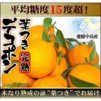 愛媛産 葉つき完熟デコポン4kg 送料無料 訳あり・不揃い コロナ ステイホーム応援 フルーツ 果物 くだもの みかん 柑橘類