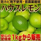 商品画像1