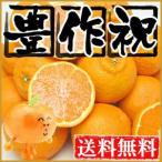 訳ありデコみかん 10kg 送料無料 2セット御購入でお得な500円OFFクーポン! 愛媛県産 デコポン でこぽん フルーツ 果物 くだもの みかん