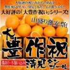 大豊作祝い清見タンゴール 10kg 送料