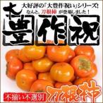 さらにお得!大豊作祝いの刀根柿 5kg 送料無料