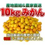 ドーンと10.5kg！1kgで255円  訳ありみかん10kg(+約0.5kg多め)訳あり【送料無料】愛媛県産 2セット御購入でお得な500円OFFクーポン  ミカン