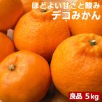 愛媛県産 デコみかん 5kg 良品 送料