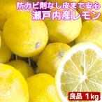 瀬戸内産 国産レモン 1kg 良品 　送料無料 檸檬 防腐剤 防かび剤不使用 フルーツ 果物 くだもの 柑橘類
