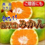 訳なしに挑戦！【訳なし】自信の極早生みかん10kg【送料無料】　フルーツ 果物 くだもの 食品 おやつ みかん 柑橘類 ミカン
