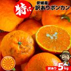 酸っぱうま〜い 愛媛県産 特に訳ありぽんかん 3.2kg 不揃い【送料無料】愛媛県産 椪柑 ポンカンオレンジ デコポンの親品種 フルーツ