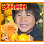 温州チビマロみかん5kg　送料無料　訳あり・不ぞろい　フルーツ 果物 旬 くだもの わけあり 食品 ワケあり ご家庭用 みかん 柑橘類 ミカン 産地直送