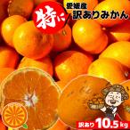 特に訳ありみかん10kg +約0.5kg多め 訳あり【送料無料】不揃い 傷 なつみ カラマンダリン 愛媛県産 フルーツ 美味しいみかん 果物 くだもの 温州みかん 柑橘類