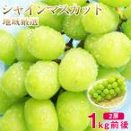  бесплатная доставка предварительный заказ автомобиль in мускат 2.1kg передний и задний (до и после) регион тщательно отобранный Okayama Nagano Yamanashi Fukuoka есть перевод . для бытового использования мускат виноград подарок подарок вид нет 