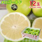 ショッピング文旦 送料無料 アメリカ カリフォルニア産 メロゴールド メローゴールド グレープフルーツ 12玉 1玉 約500〜600g みかん ご自宅用 ご家庭用 ギフト 果物 くだもの