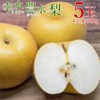送料無料 幸水梨 豊水梨 1玉 約 300g 5玉 梨 幸水 豊水 予約 佐賀県産 佐賀県 佐賀 ナシ 三水 5 玉 ギフト プレゼント ご自宅用 果物 くだもの