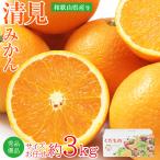 送料無料 秀・優品 清�