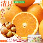 送料無料 清見 ご家庭�