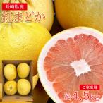 ショッピング文旦 送料無料 紅まどか キズ有り サイズお任せ 約4.5kg 3〜6玉 長崎 長崎県 長崎県産 佐賀 佐賀県 佐賀県産 柑橘 ブンタン 文旦 特大 国産